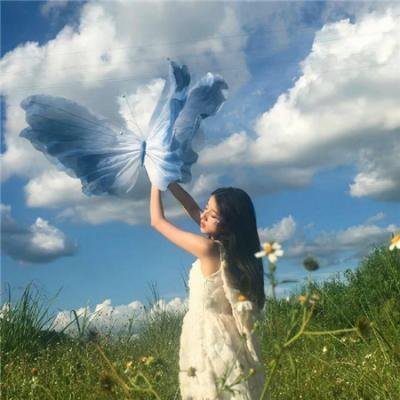 蛮荒林区